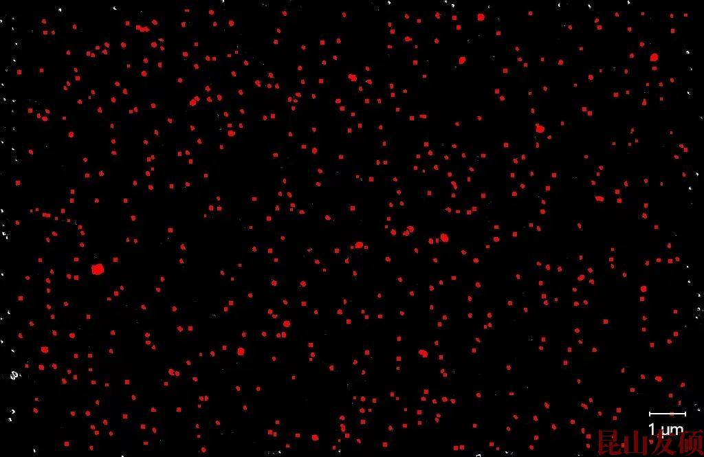 江苏江苏蔡司江苏扫描电镜